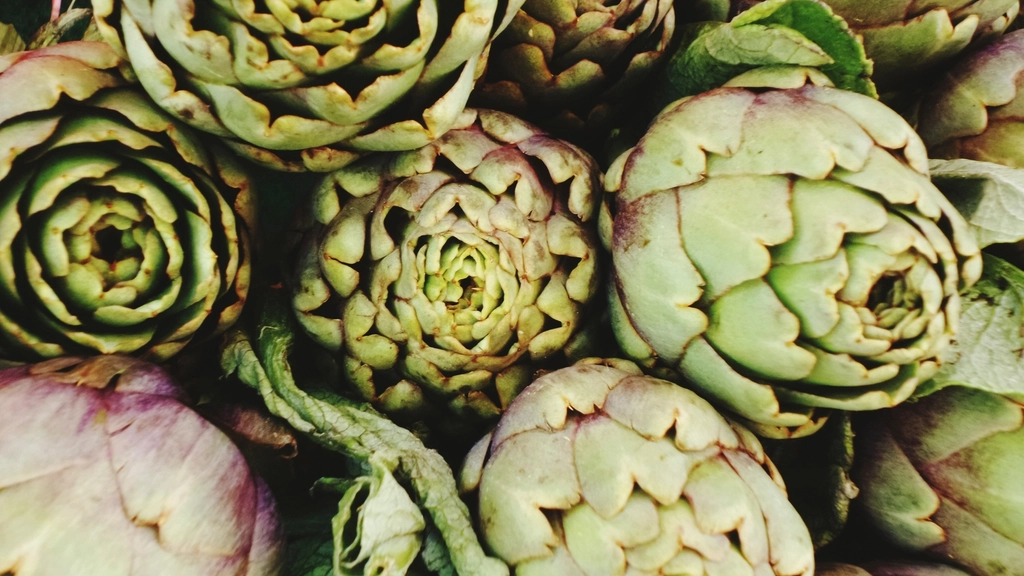 Artichoke