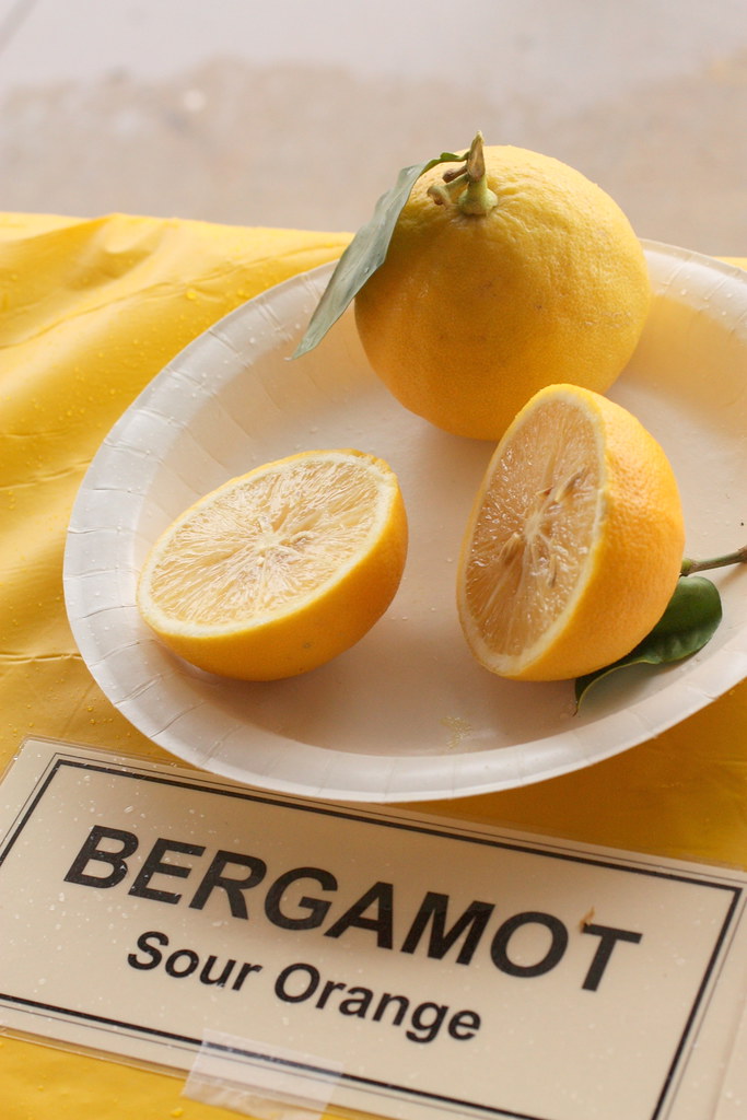 Bergamot