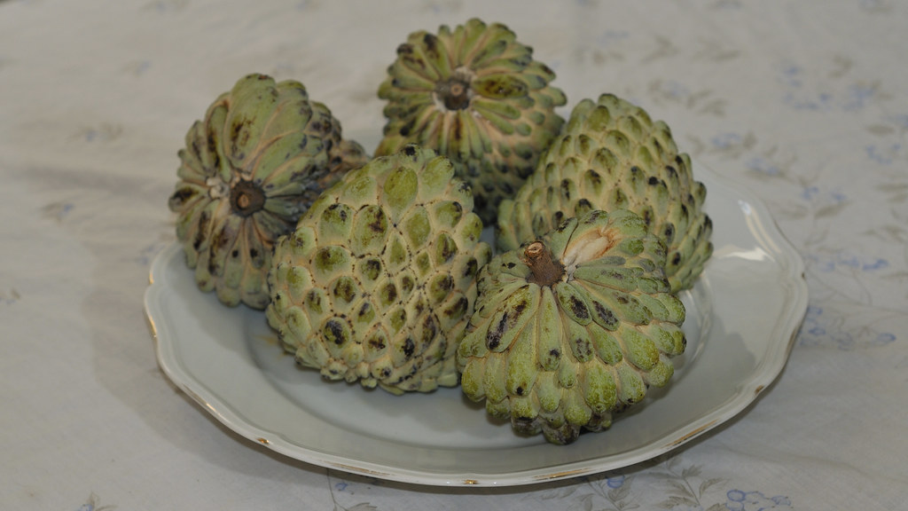 Cherimoya