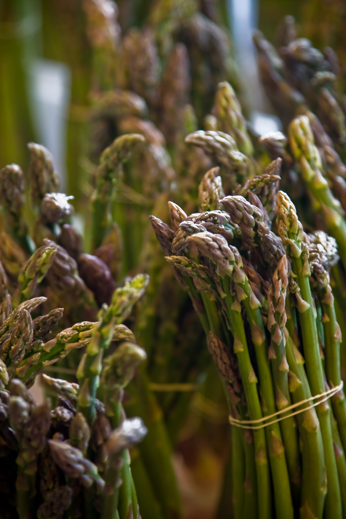 Export Vegetables