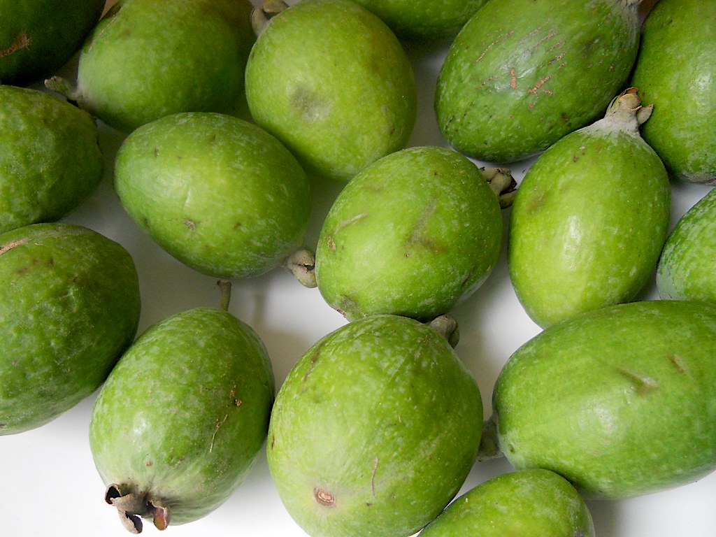 Feijoa