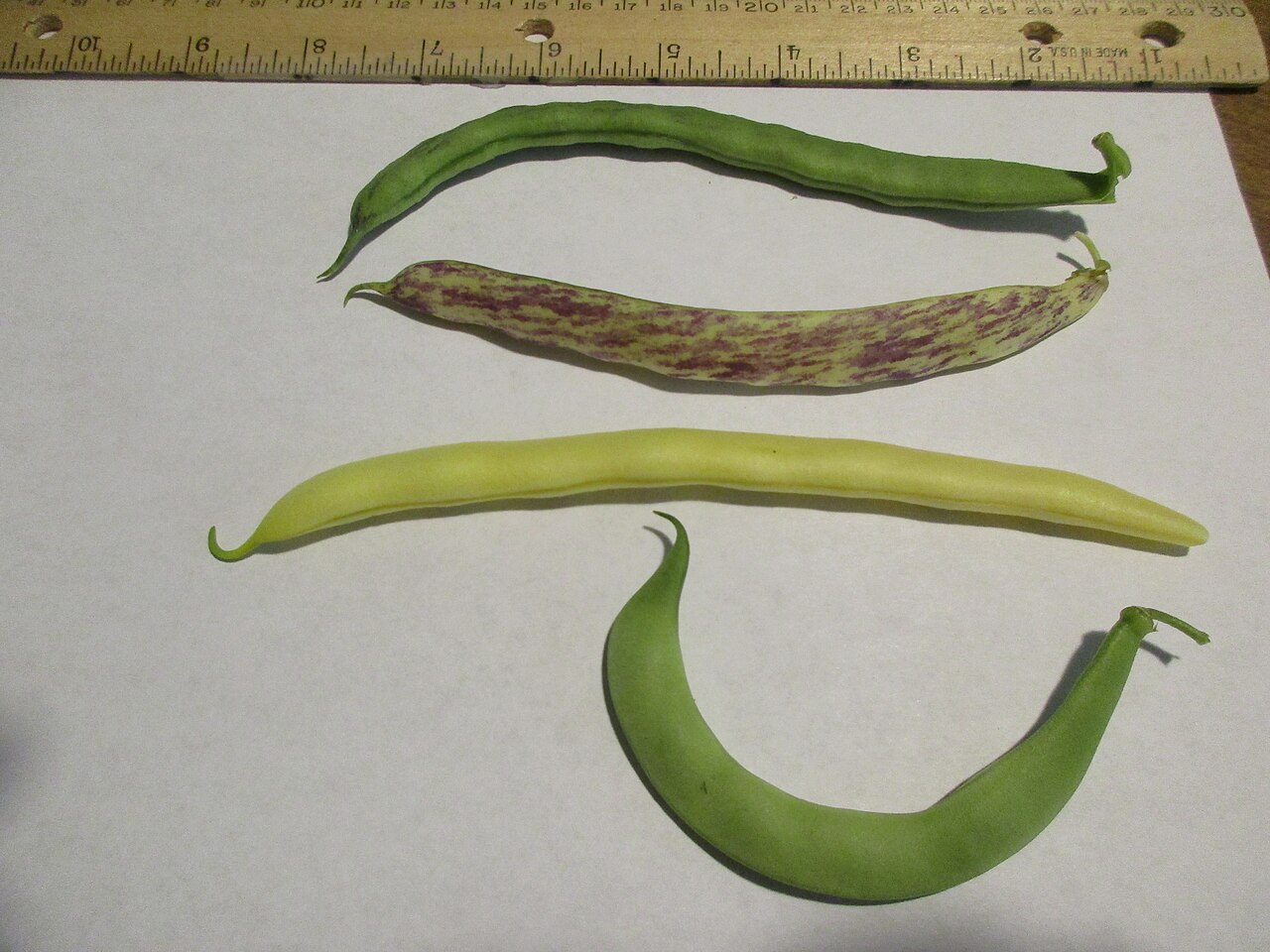 Green beans