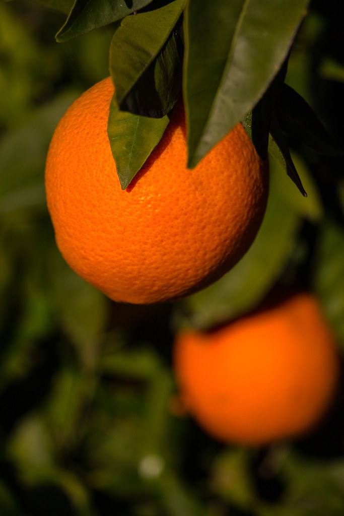 Mandarin