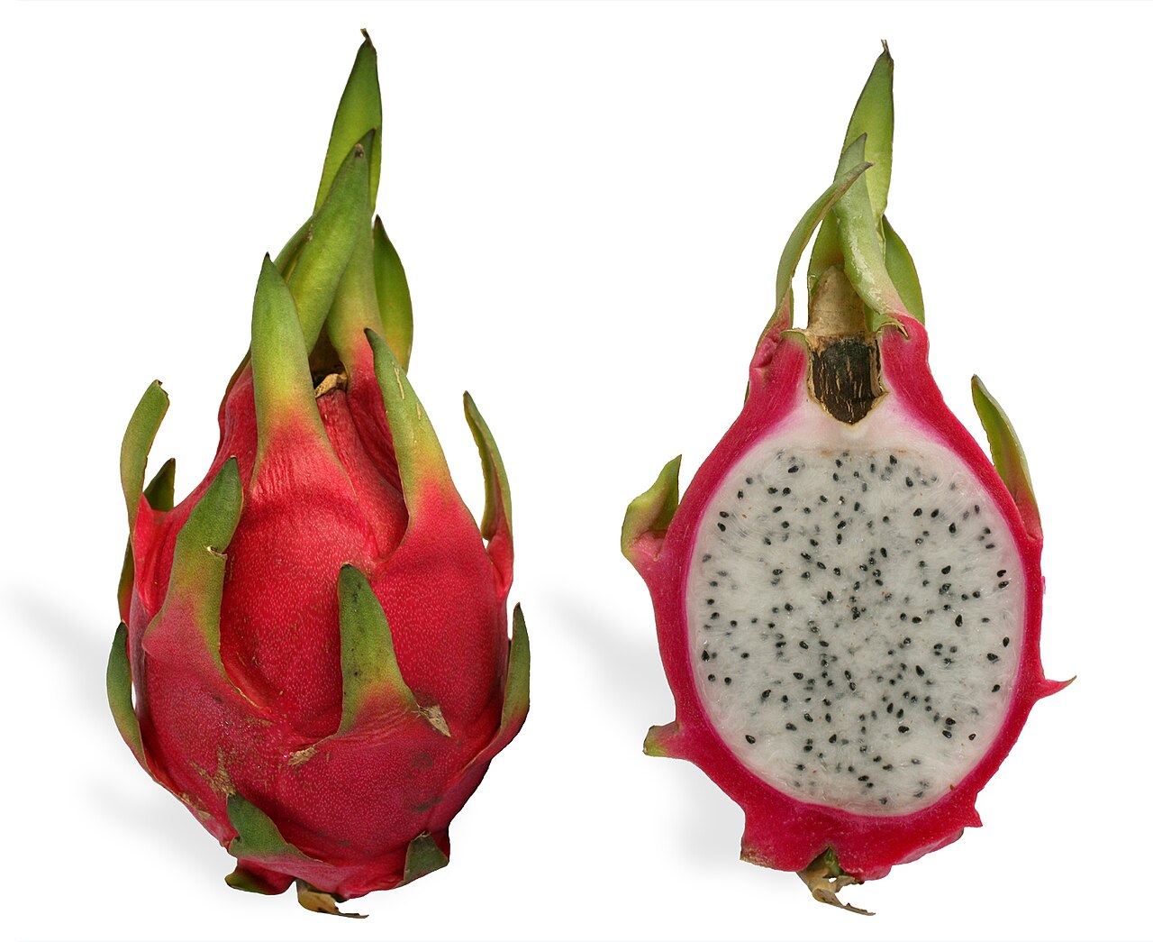 Red dragon fruit
