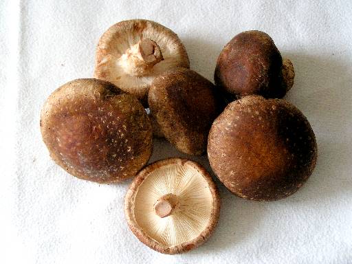Mushrooms