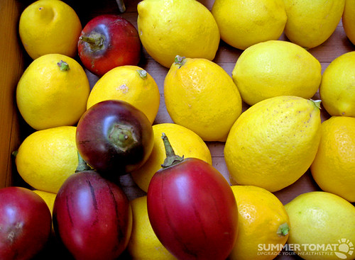 Tree tomato