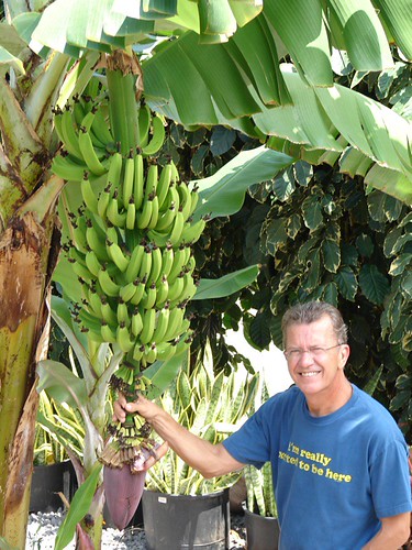 Responsible farming